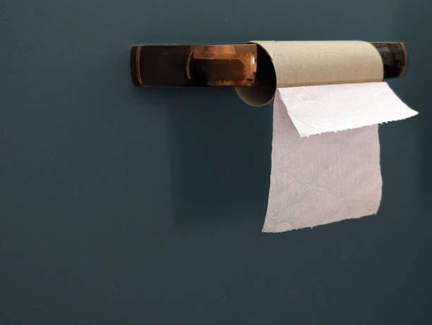 istock Closeup of empty toilet tissue roll, dark fond 2185975507