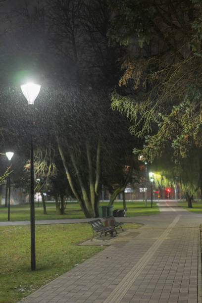 istock Night lantern lights in park in snowfall at night 2185979201