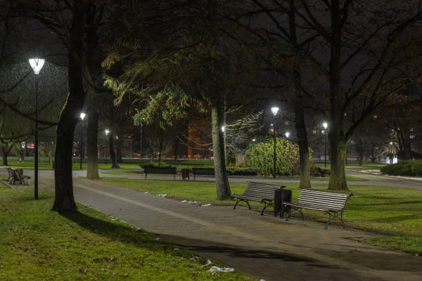 istock Night lantern lights in park in snowfall at night 2185979202
