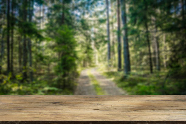 istock Wooden table with forest and nature background. Product display background. 2185980875