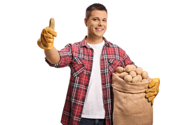 Young farmer holding potatoes in a sack and gesturing thumbs up