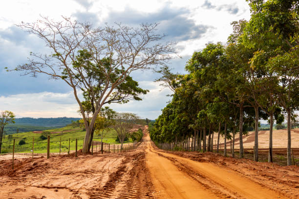 istock Dirt road in rural area in Brazil 2185983768