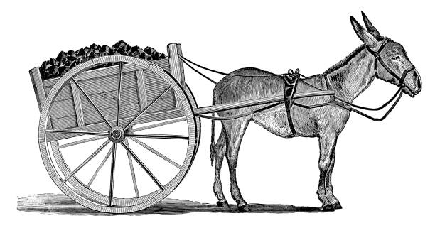 A Victorian era children’s toy, stuffed donkey pulling a wooden coal cart. Vintage etching circa 19th century.