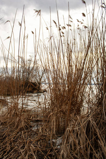 istock a lake with ice and a cloudy sky in the background 2185989713