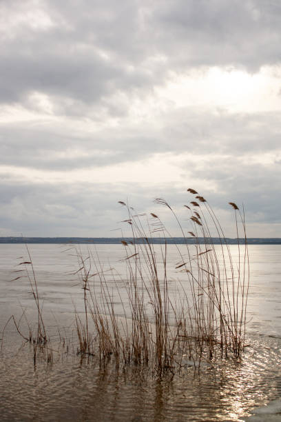 istock a lake with ice and a cloudy sky in the background 2185989733