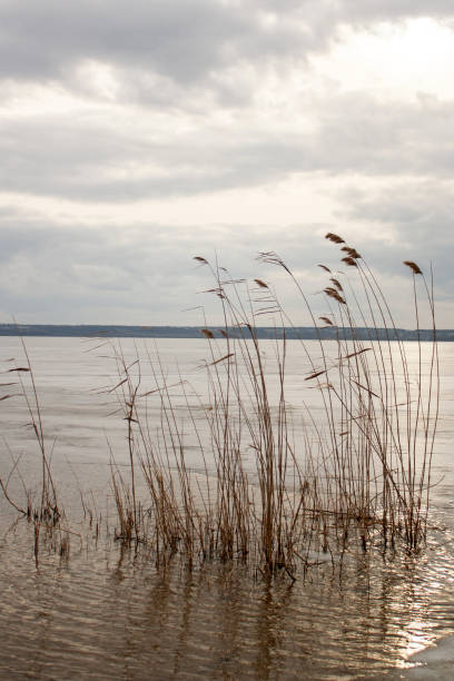 istock a lake with ice and a cloudy sky in the background 2185989738