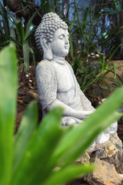 istock Herbalist Woman 2185995060