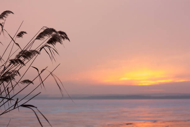 istock a field of grass with a sunset in the background 2186011342