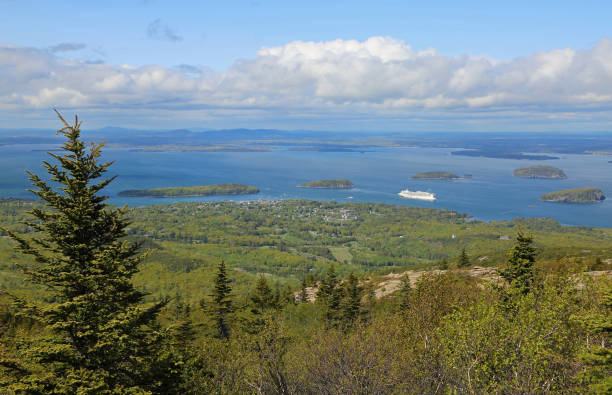 istock The tree and the panorama - Cadillac Mountain 2186021774