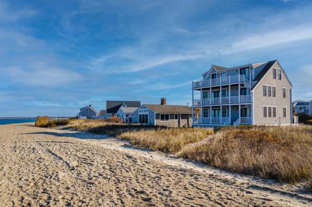 istock New Sand for and Old Beach 2186031169