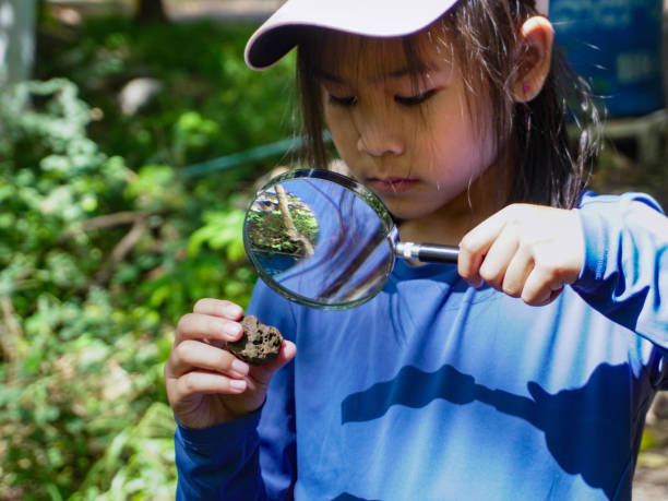 istock A girl examines rocks through a magnifying glass while exploring the nature of a forest on a sunny day. Outdoor ecology school lesson. 2186034744