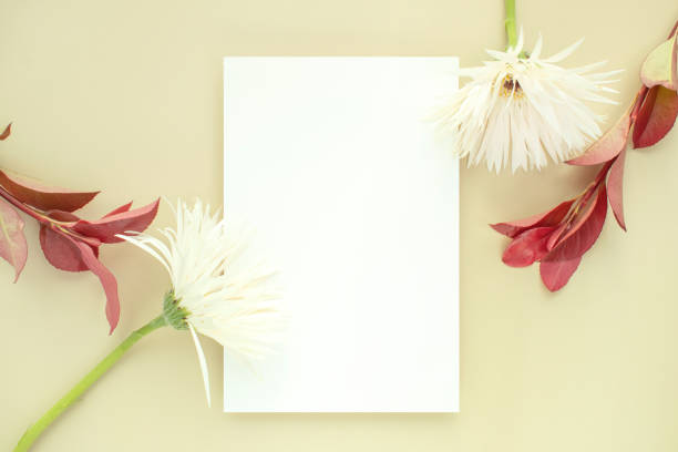 istock Flowers and cards Mock-up 2186036460
