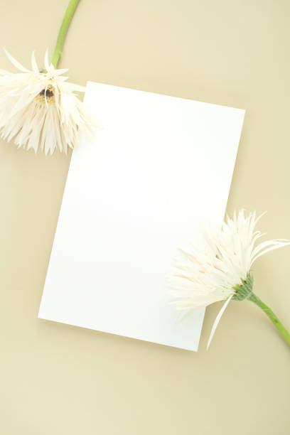 istock Flowers and cards Mock-up 2186036461