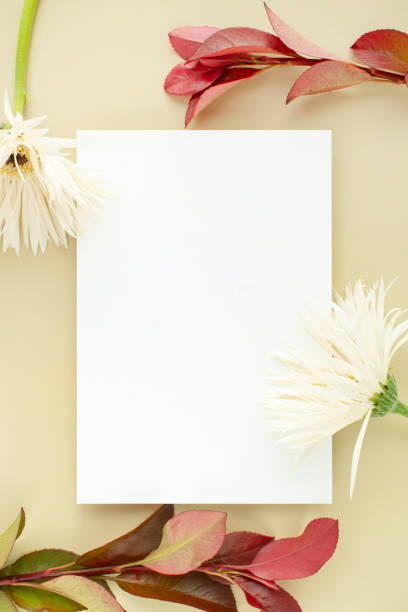 istock Flowers and cards Mock-up 2186036464