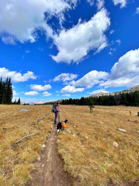 istock Images of the Wind River Mountains 2186038794
