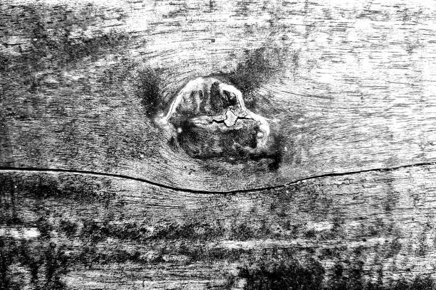 Background texture of an old and weathered wood surface in close up view, wood texture with wavy pattern, for design elements