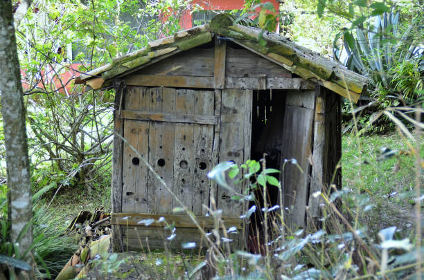 istock A rustic wooden shack in the backyard 2186044494