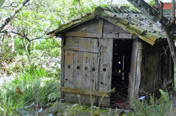 istock Beautiful rustic wooden cabin in the backyard 2186044809