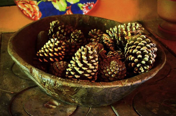 Natural pine cone painted on wooden tray decorating wood stove