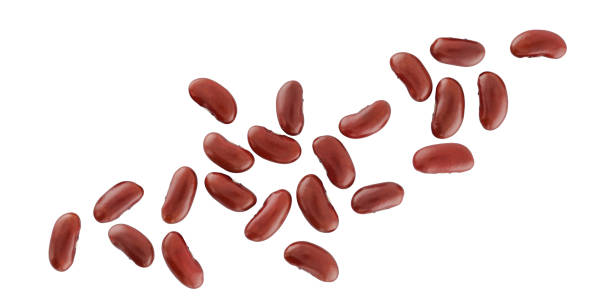 Red Beans Isolated Vegetarian Food