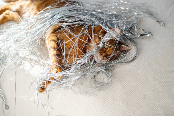 Holiday cat playing in foil Christmas tree tinsel.