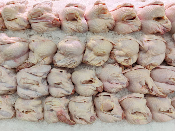 Fresh chicken meat in ice bath container for retail display in Asian supermarket - to maintain freshness