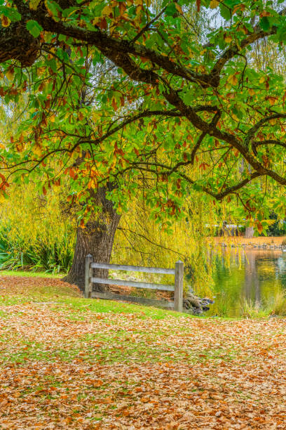 Late Autumn scenery around the Botanical Gardens in Castlemaine, Victoria, Australia.
