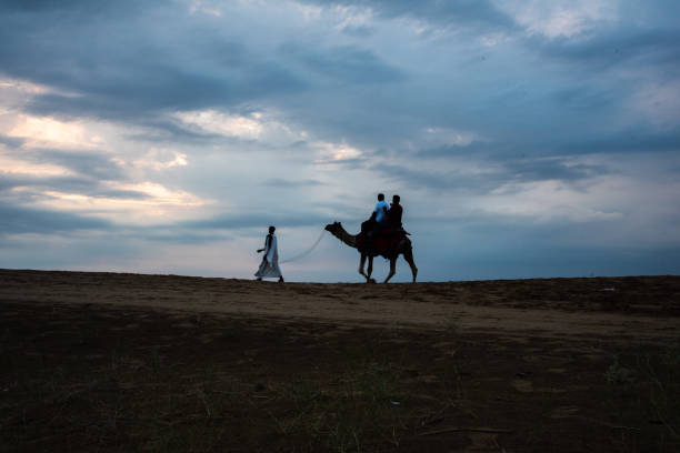 Portrait of domestic Camel at fair ground in Pushkar during fair for trading.