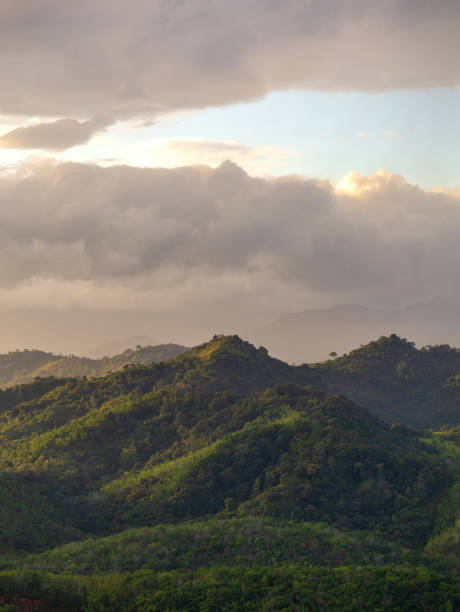 istock Kalimantan Forest Sunrise 2186074966