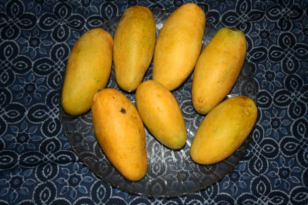 istock Dasheri mango, cultivar of mango (Mangifera indica), on display. 2186088221
