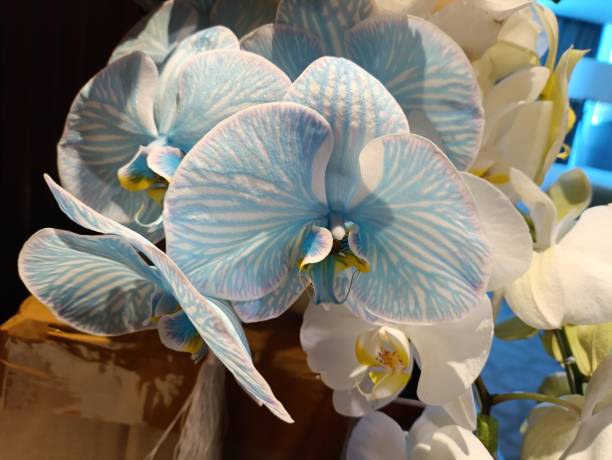 Flower decorations