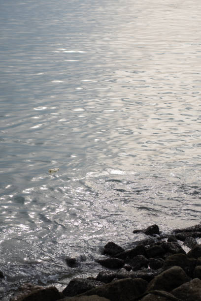 An empty plastic bottle floating on the sea surface near a rocky coast. environmental pollution concept. Save the earth concept.