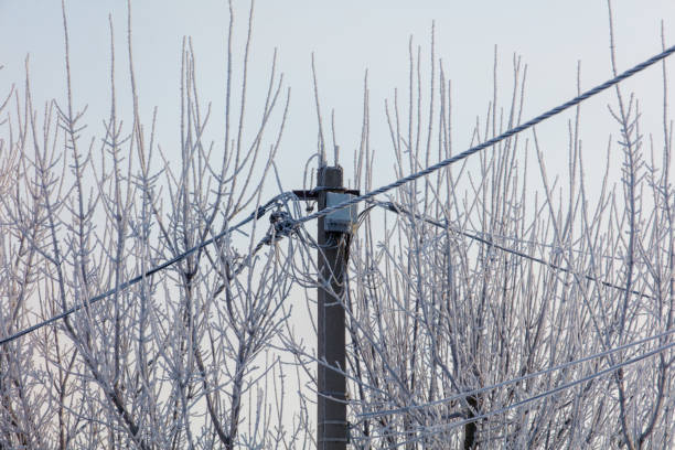 A wire is hanging from a pole and is covered in snow. The wire is connected to a power source