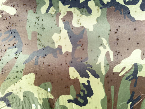 istock A camouflage print with a brownish color 2186091485