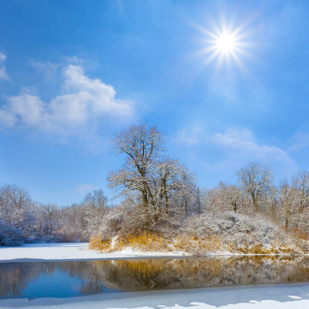 Winter January, forest area near the river, frosty northern weather.