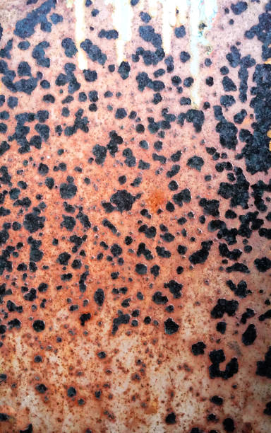 istock Rust spread on white metals plate texture.Black spots of corrosive grunge rusted on old iron.The pattern of grunged rust on wall use as illustration .Rusty corrosion and oxidized background.Vertical. 2186129684