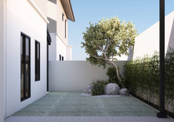 istock A serene side yard featuring a well-maintained lawn, a sculptural tree surrounded by decorative rocks, and lush green bamboo along the fence, creating a peaceful atmosphere. 3d rendering 2186137494