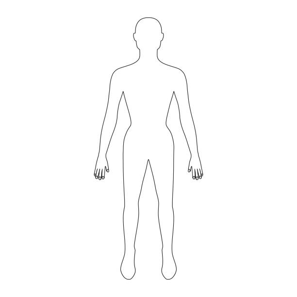 istock Fashion woman full length template bald figure silhouette front view 2186144743