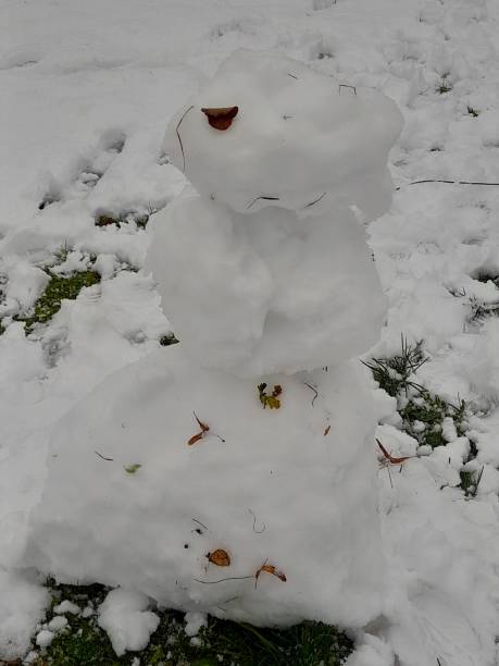 istock Snowman in the garden 2186152417