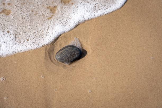 istock Wet smooth black rock on the sandy beach. Iceland 2186161218