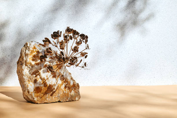 istock White stone as podiums display before light pastel surface with shadows for product presentation. Pedestal stand. Cosmetics or eco beauty product promotion trendy minimalist mockup. 2186173721
