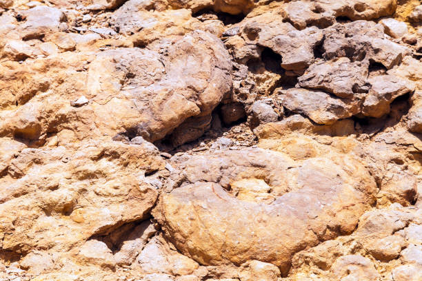 the Ammonite Wall in Ramon Crater, Negev desert, Israel