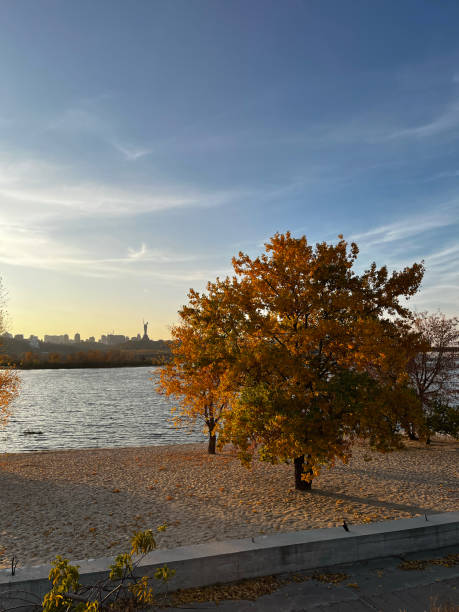 istock A tree with leaves on it is in front of a wall. The sky is blue and there are clouds 2186205581