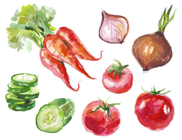 istock Vector Watercolor painted collection of vegetables. Hand drawn fresh food design elements isolated on white background. 2186214395