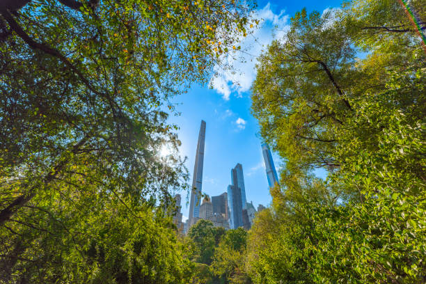 istock Manhattan skyscrapers seen through the trees in Central Park 2186220758