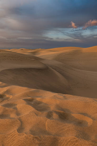 istock Maspalomas Dunes . Gran Canaria, Spain 2186223487