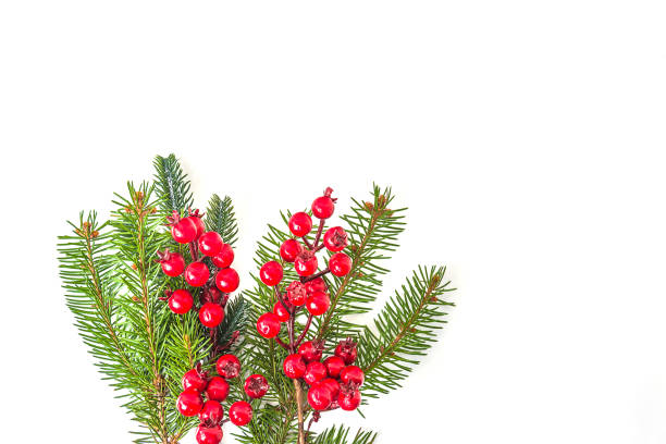 istock Christmas holiday greeting card template 2186234497