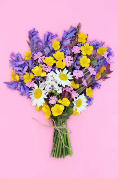 istock Spring Wildflower Beautiful Floral Bouquet 2186235479