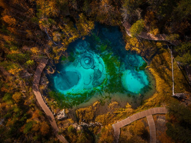 istock Drone perspective on Geyser Lake surrounded by autumn forest 2186237458