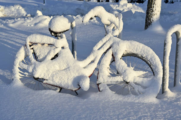 a snow-covered bicycle parked in a bike rack, completely enveloped in thick, fresh snow. The serene winter setting, with the sunlight casting long shadows and a blanket of snow covering the surroundings, evokes a sense of frozen stillness and abandonment in the cold season